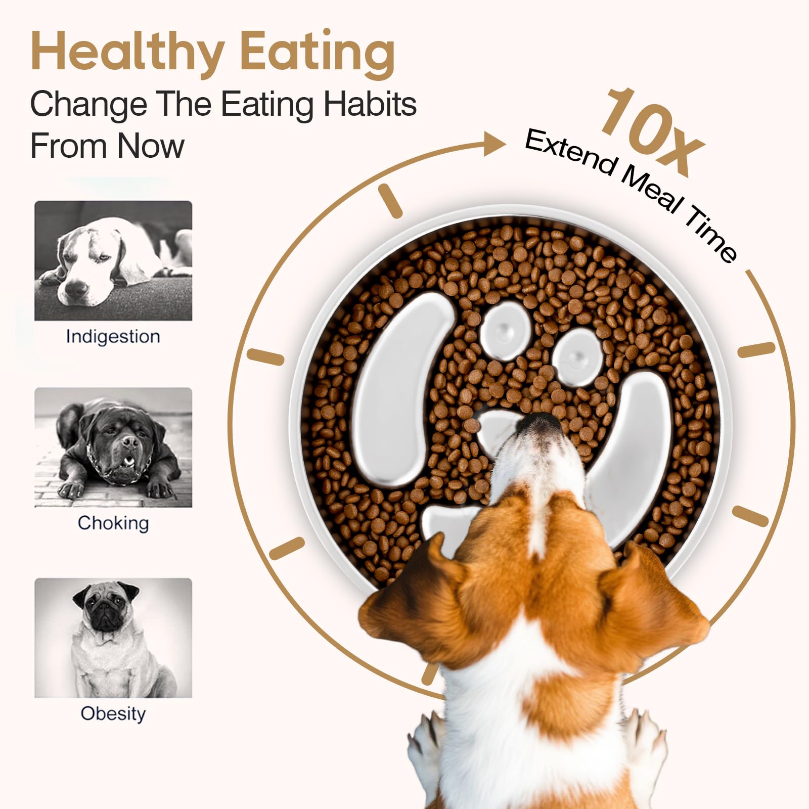 GLYVIAN slow-feeder two-cup capacity suits growing dogs and shared meals.