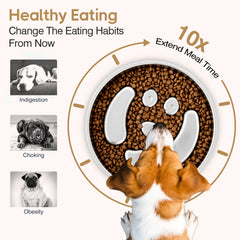 GLYVIAN slow-feeder two-cup capacity suits growing dogs and shared meals.