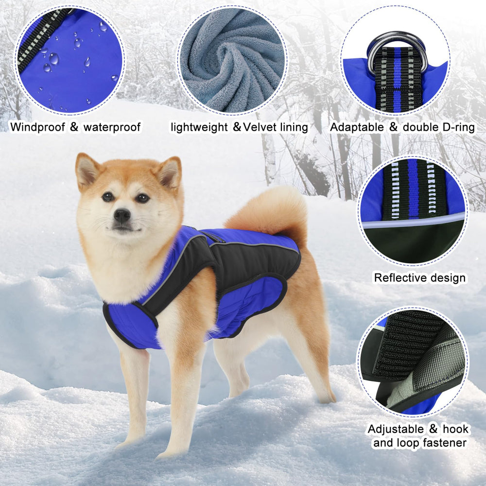 Gmayoo dog coat water-resistant outer keeps fur dry on damp mornings