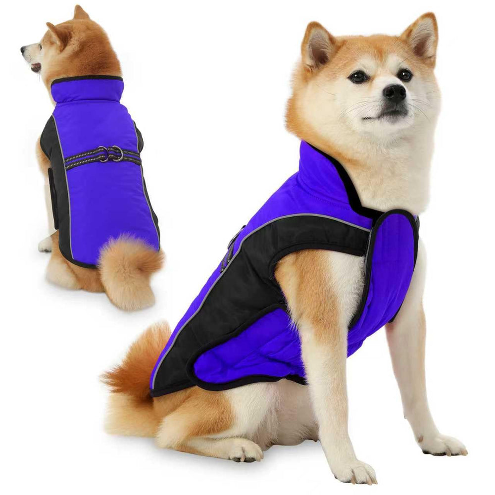 Gmayoo dog coat windproof fabric protects during chilly outdoor walks