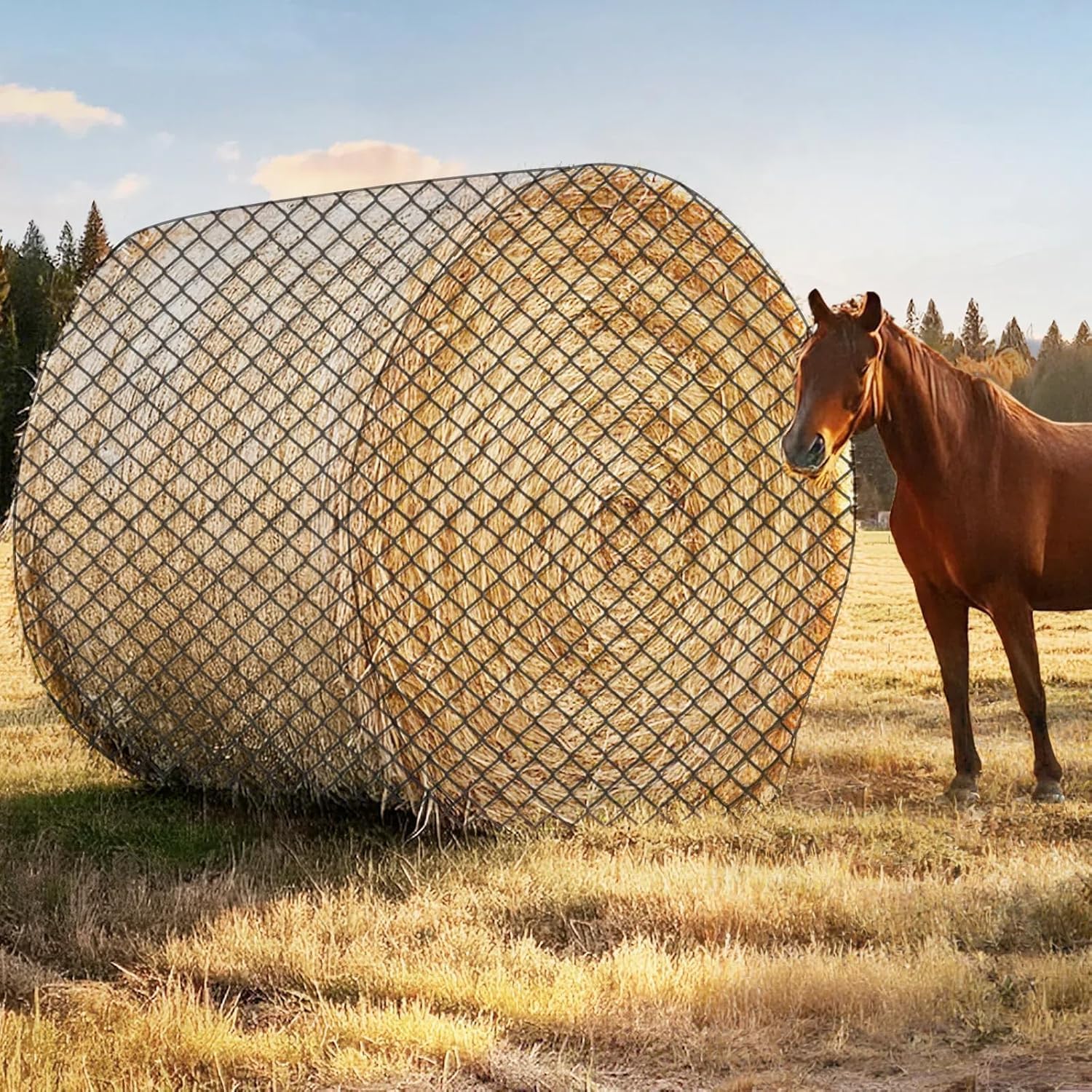 GmTonty hay net round bale 6x6ft setup reduces waste during feeding.