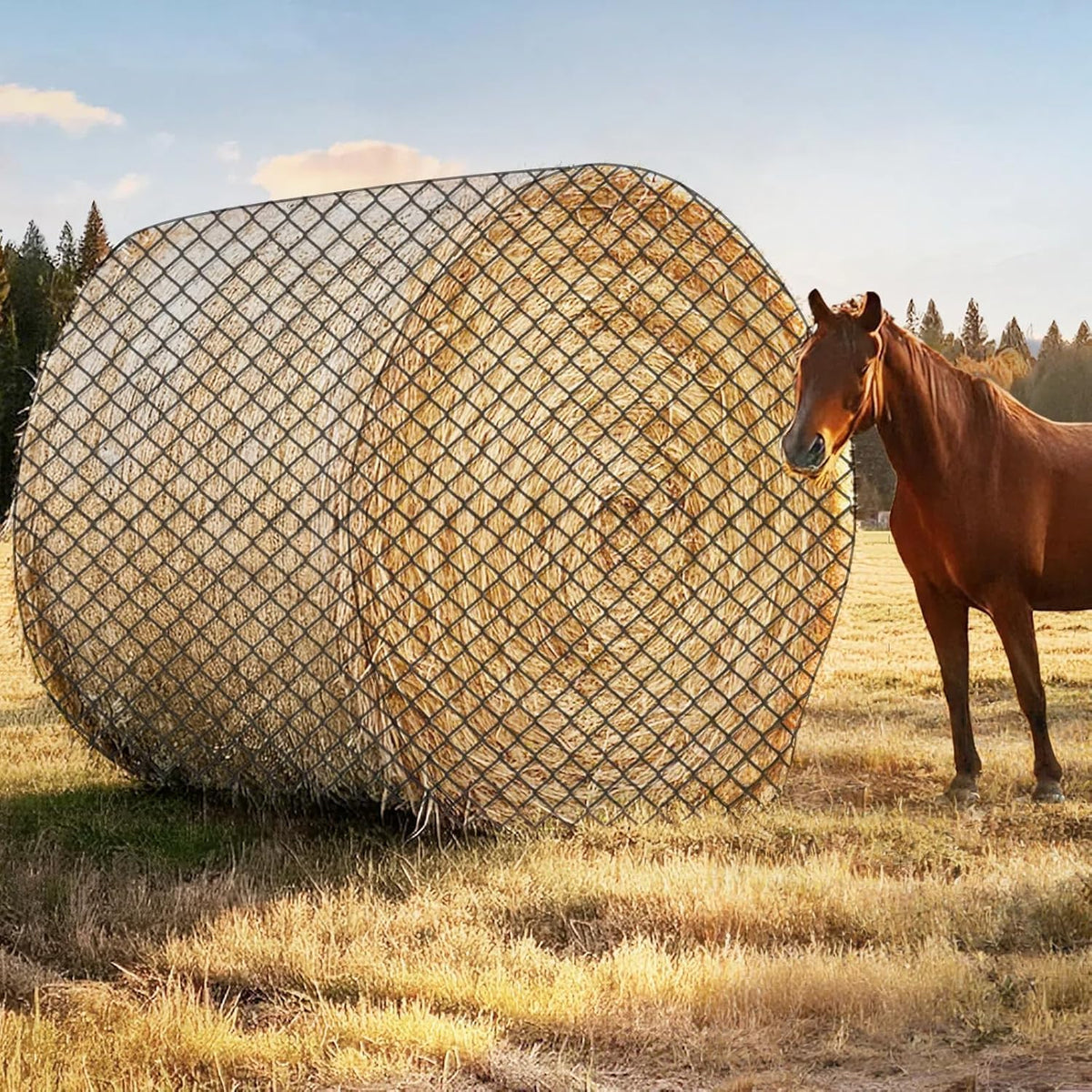 GmTonty hay net round bale 6x6ft setup reduces waste during feeding.