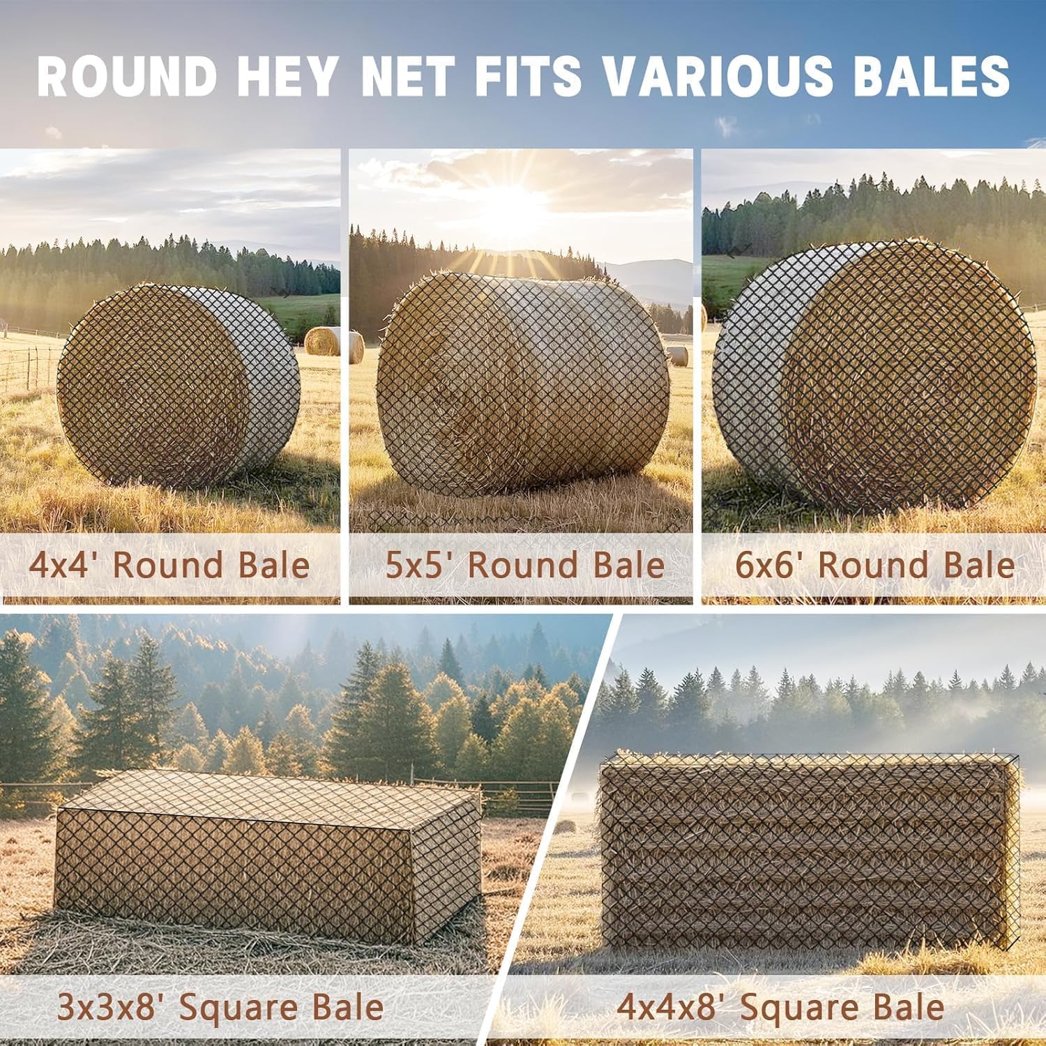 GmTonty slow-feed benefits: steadier intake and simpler daily management.