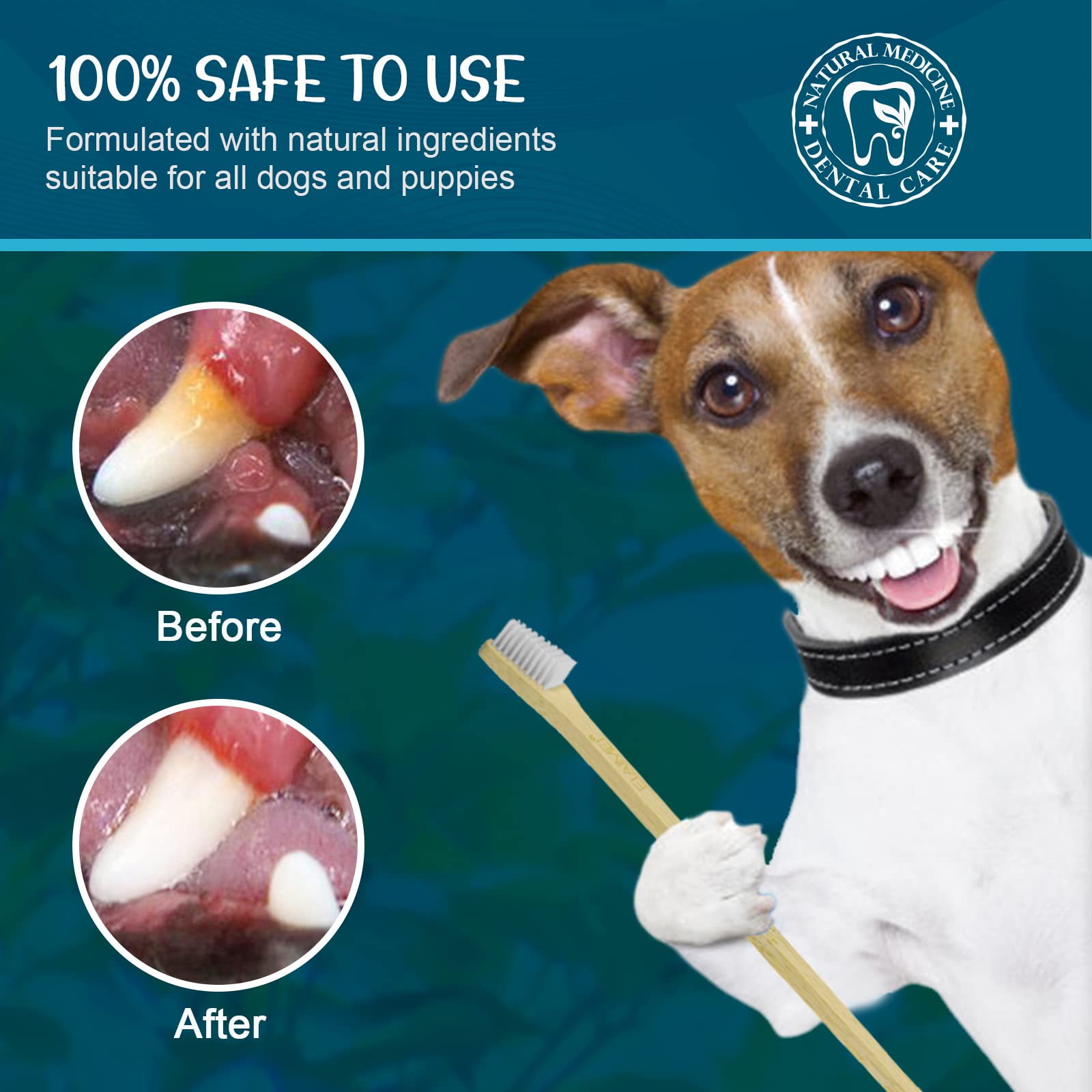 GNAPY dog toothbrush kit suitable for dogs of all sizes.