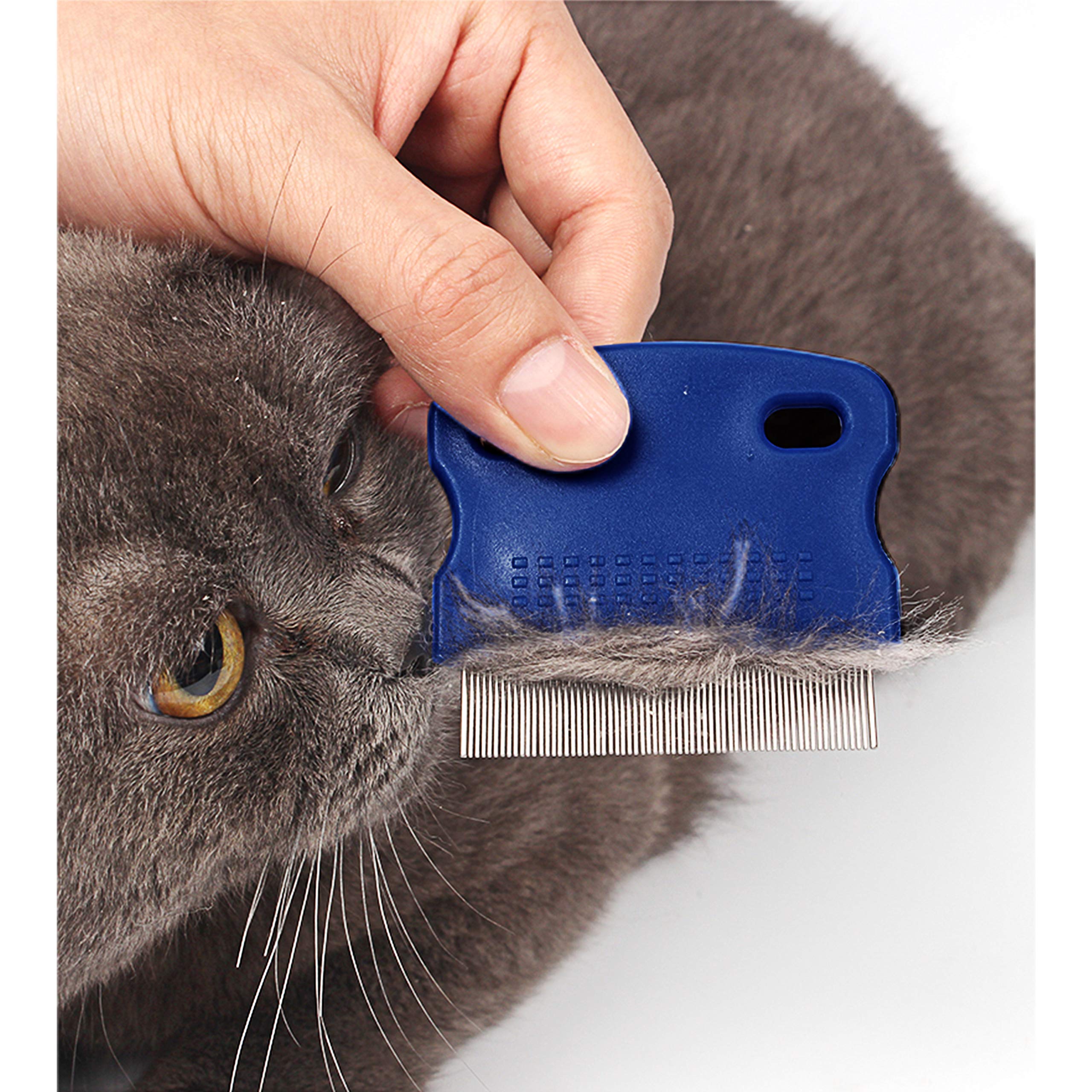 GNAWRISHING easy-clean pet comb simplifies rinsing and drying after grooming.