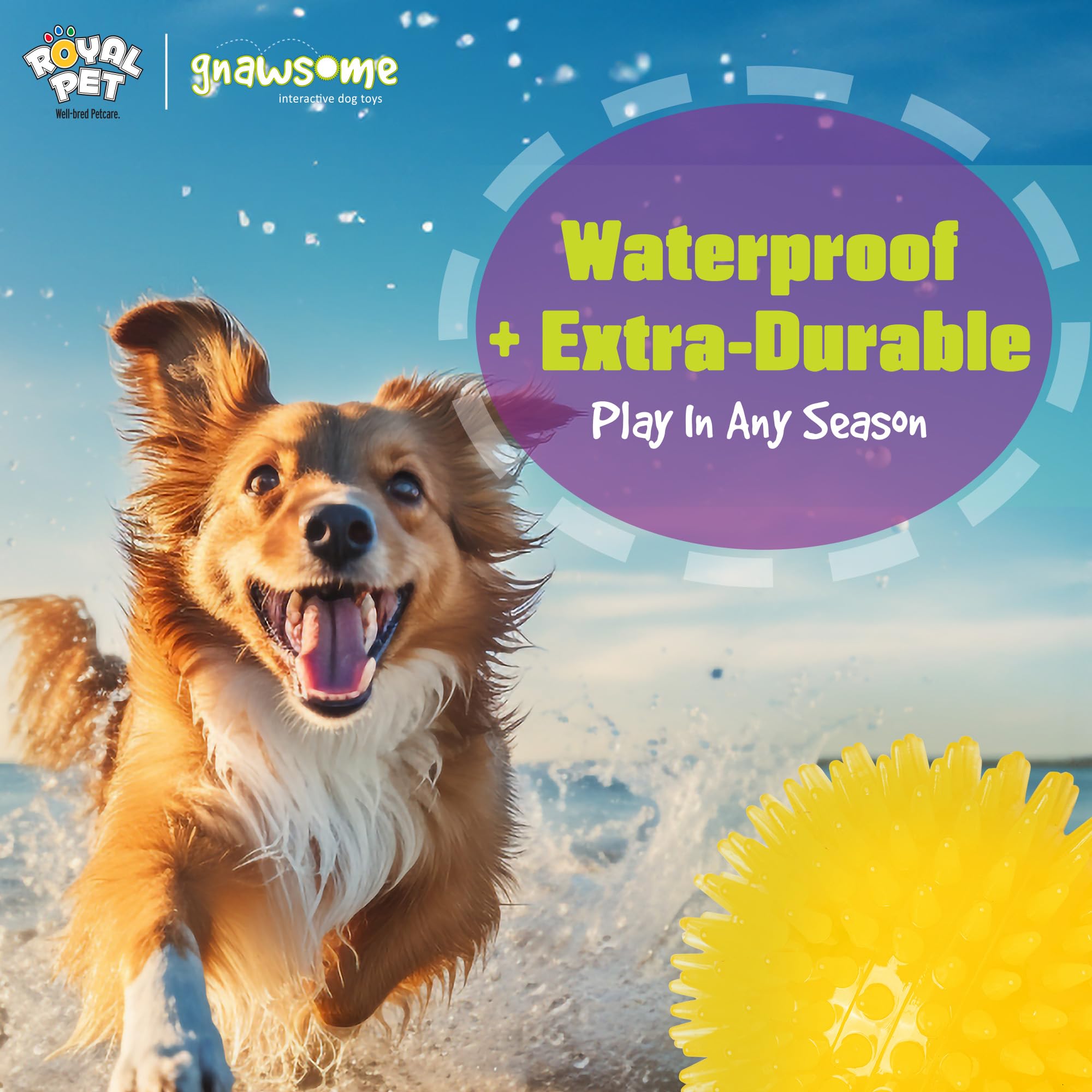 Gnawsome 3.5-inch Spiky Squeak Ball made with BPA-free TPR for safe chewing.