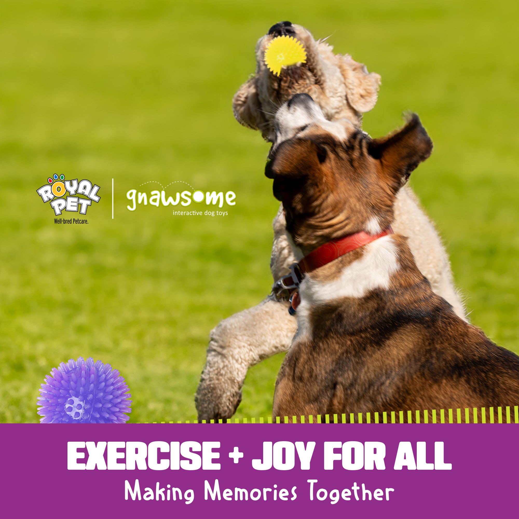 Gnawsome 3.5-inch Spiky Squeak Ball ready for night play with safety and fun.