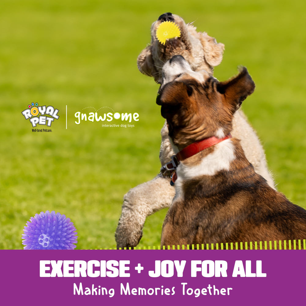 Gnawsome 3.5-inch Spiky Squeak Ball ready for night play with safety and fun.
