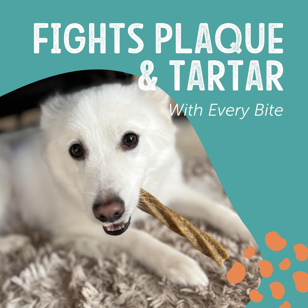 Gnawturals dog chews in use show satisfying sessions after meals.