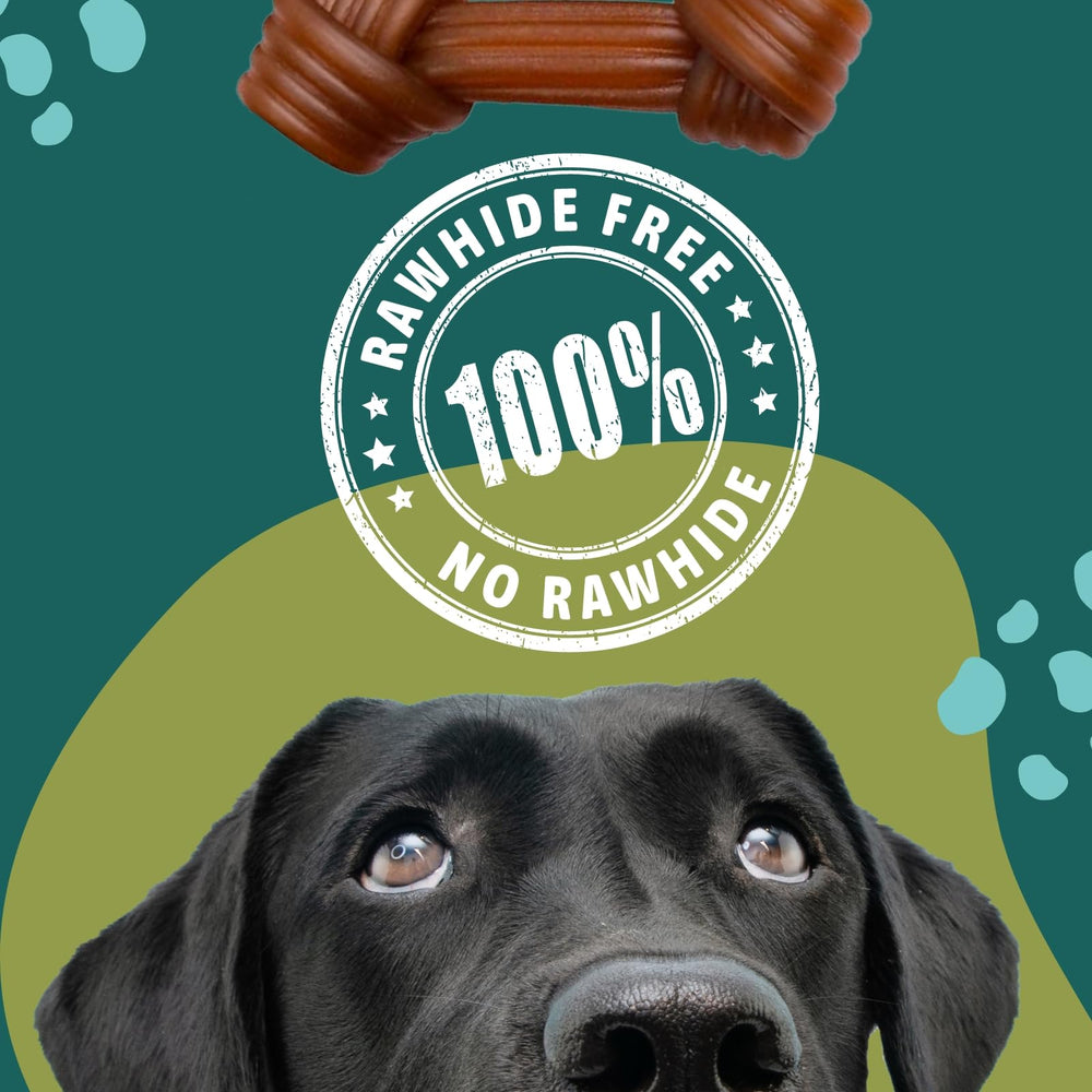 Medium to large dog chewing Gnawturals ribbed bone during chew session