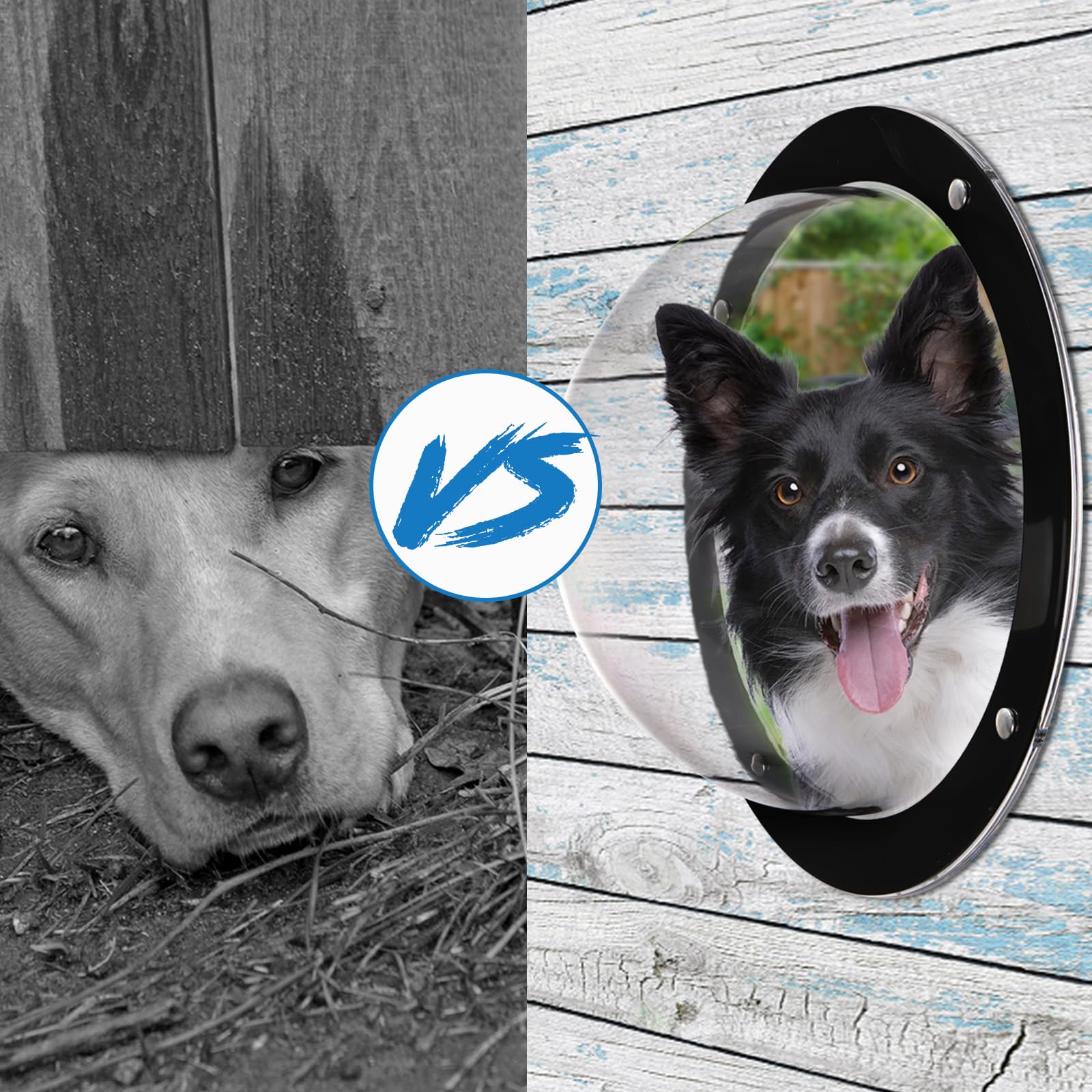 Goaste easy-clean dog fence window for simple maintenance