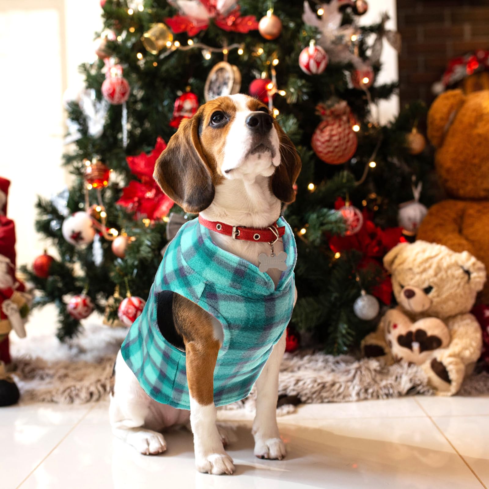 Goaste plaid outfits for dogs and cats for parties or outings.