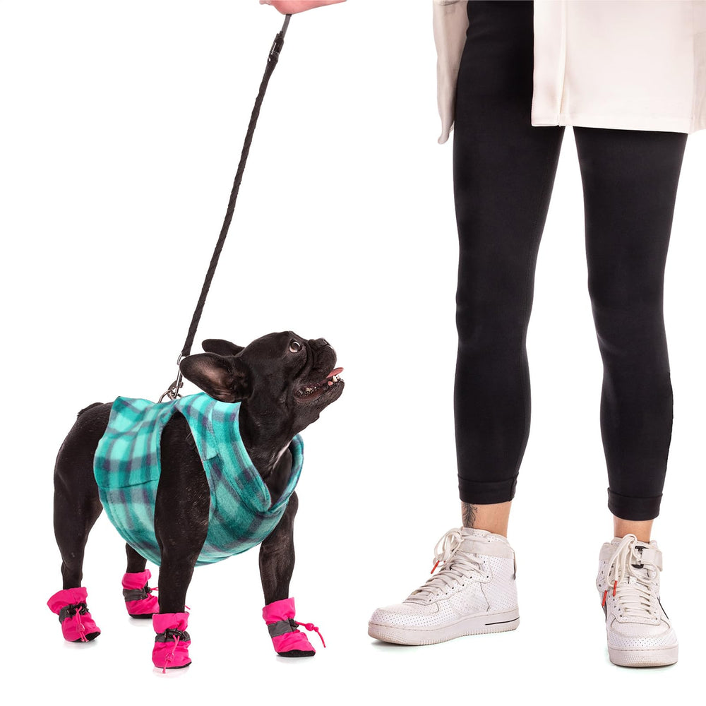 Goaste pullover design makes on/off quick for busy walks.