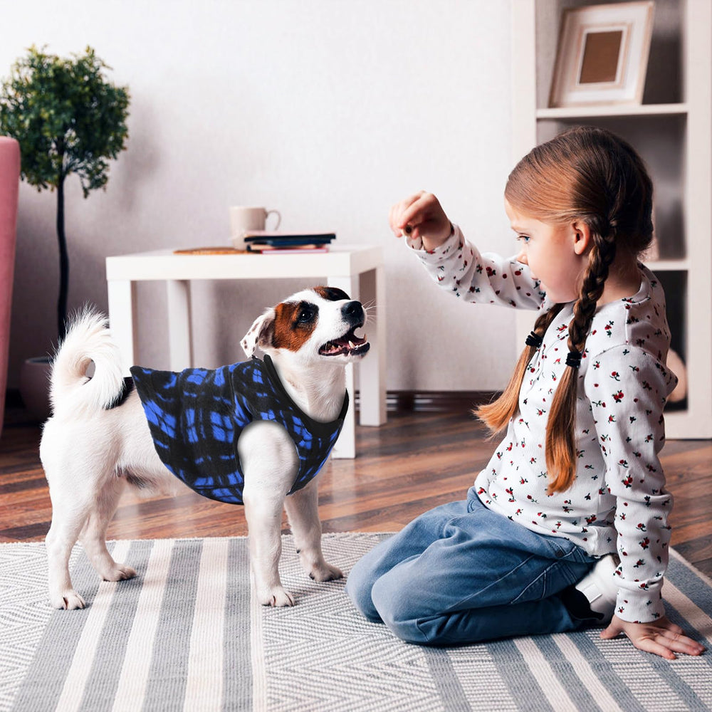 Goaste winter pet clothes suitable for daily wear and photos.