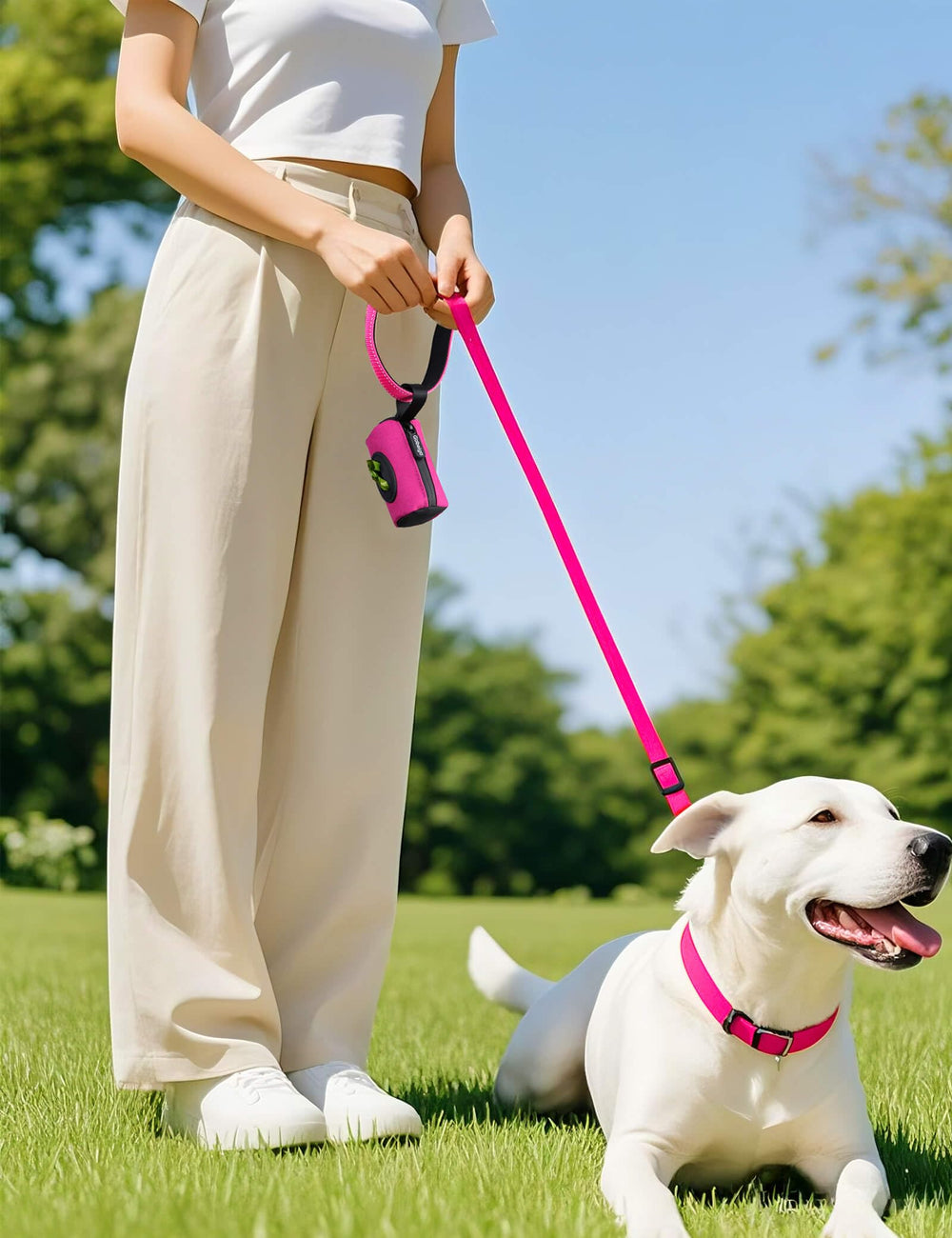 Gobeigo bone opening dispenser highlights easy bag extraction during walks.
