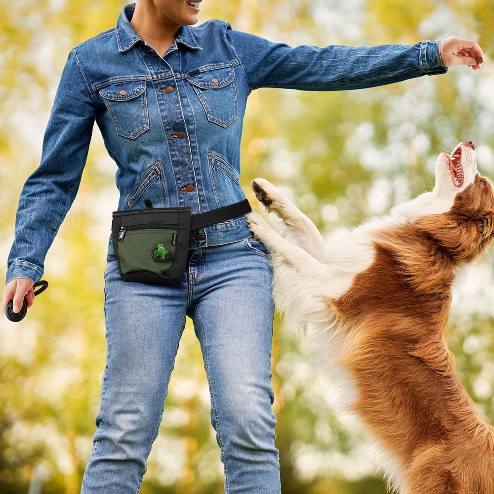 Gobeigo dog treat pouch water-resistant lining eases cleanup after walks
