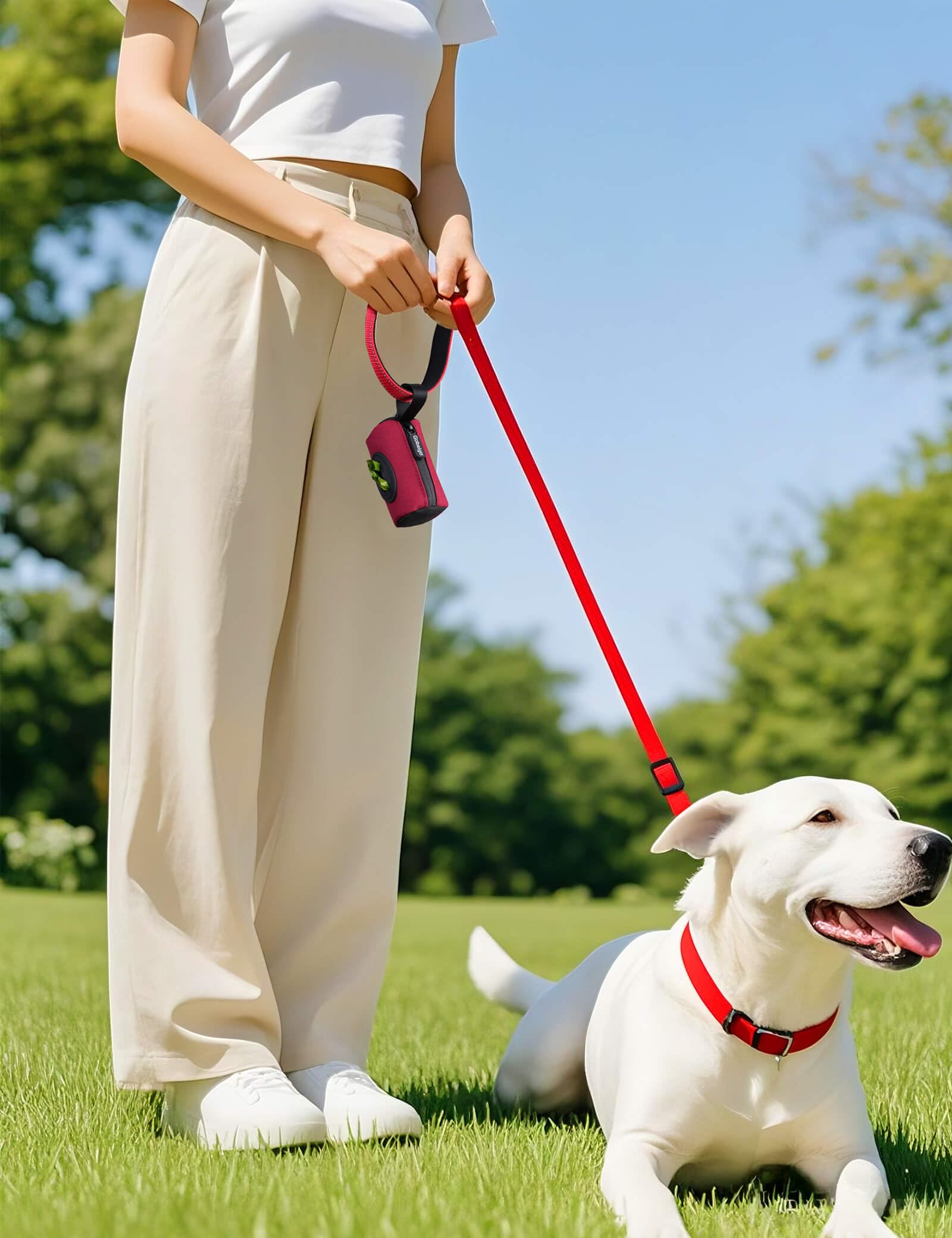 Gobeigo retractable leash compatible holder keeps bags ready on-the-go