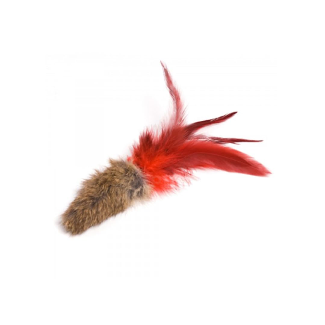 Go Cat Da Fur Thing sturdy construction supports active sessions.