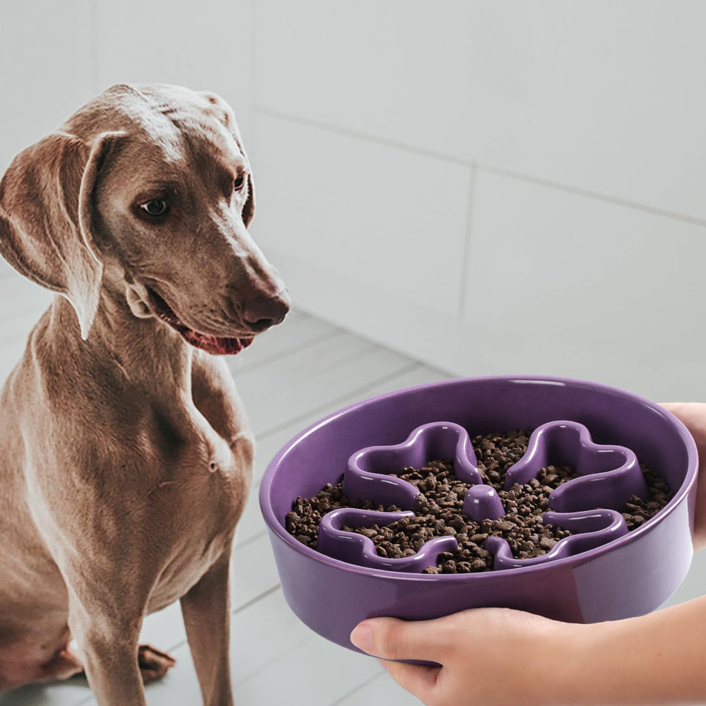 Gocess slow feeder bowl purple dishwasher-safe label shows easy cleaning and convenience.
