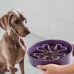 Gocess slow feeder bowl purple dishwasher-safe label shows easy cleaning and convenience.