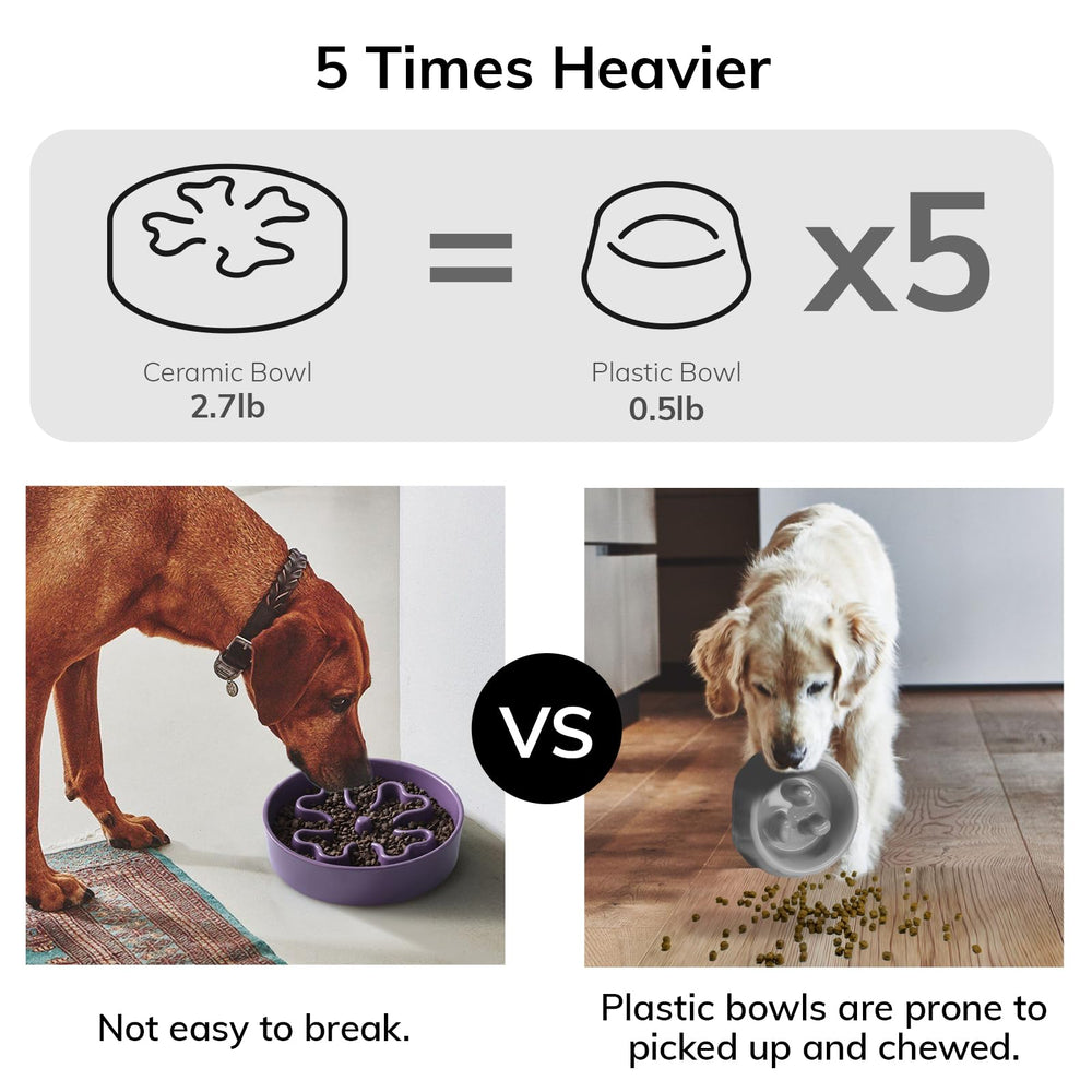 Gocess slow feeder bowl purple dog-eating-use depicts calm mealtime with puzzle design.