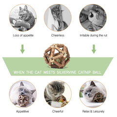 Gochanmon catnip ball close-up showing natural material and texture