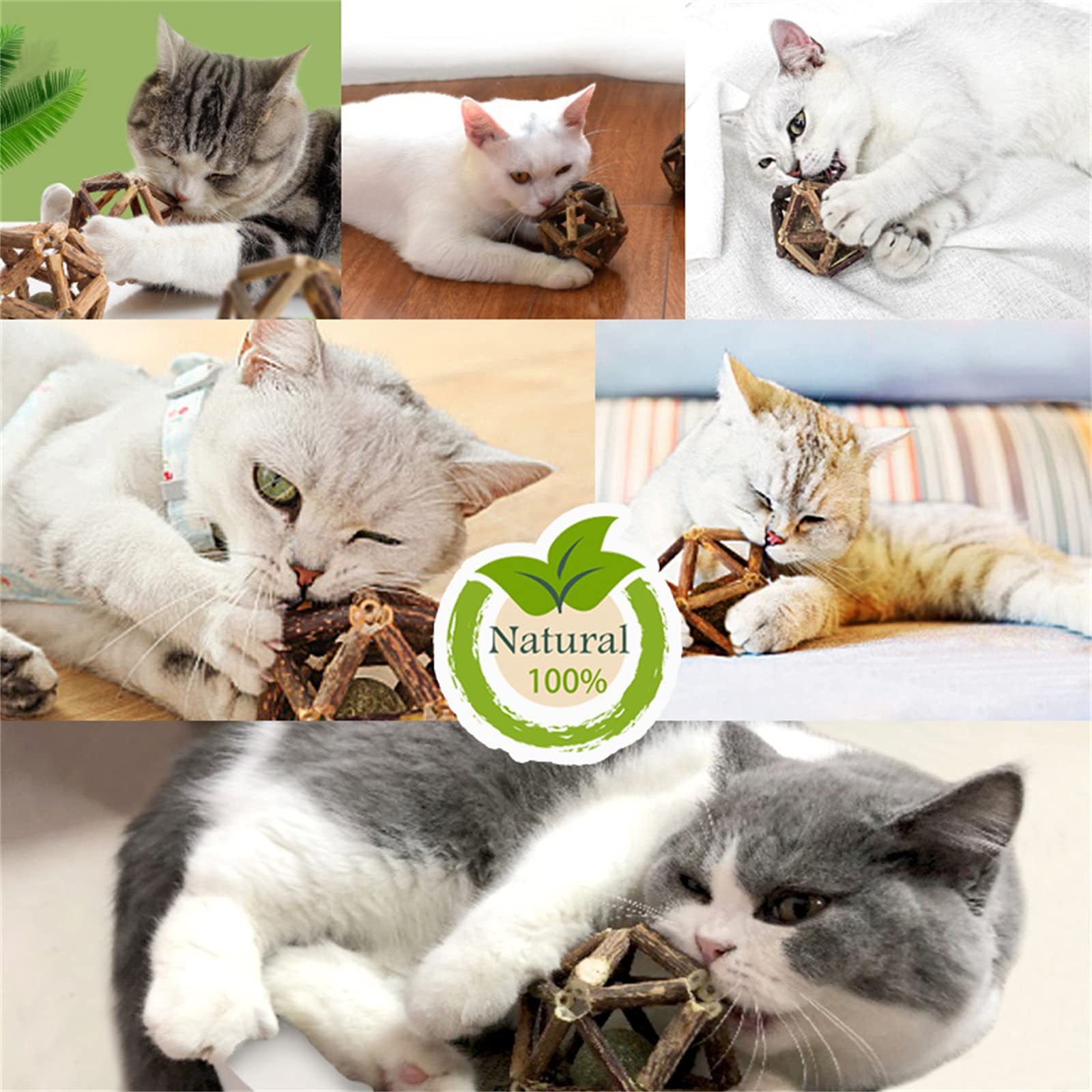 Gochanmon packaged 2pc catnip toys for convenient gifting and storage