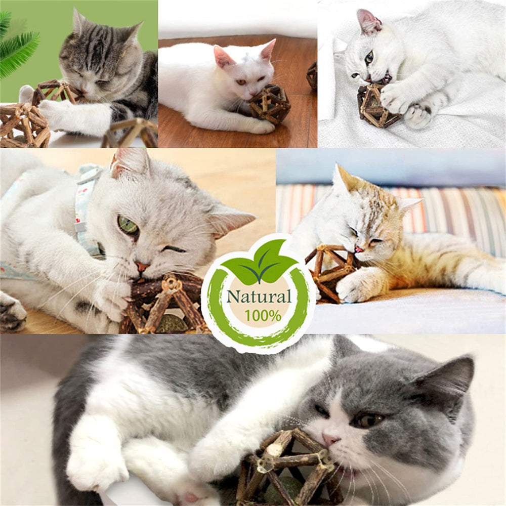Gochanmon packaged 2pc catnip toys for convenient gifting and storage