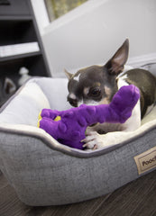 GoDog Bruto mini-dino plush offers enrichment through exciting sounds during solo play.