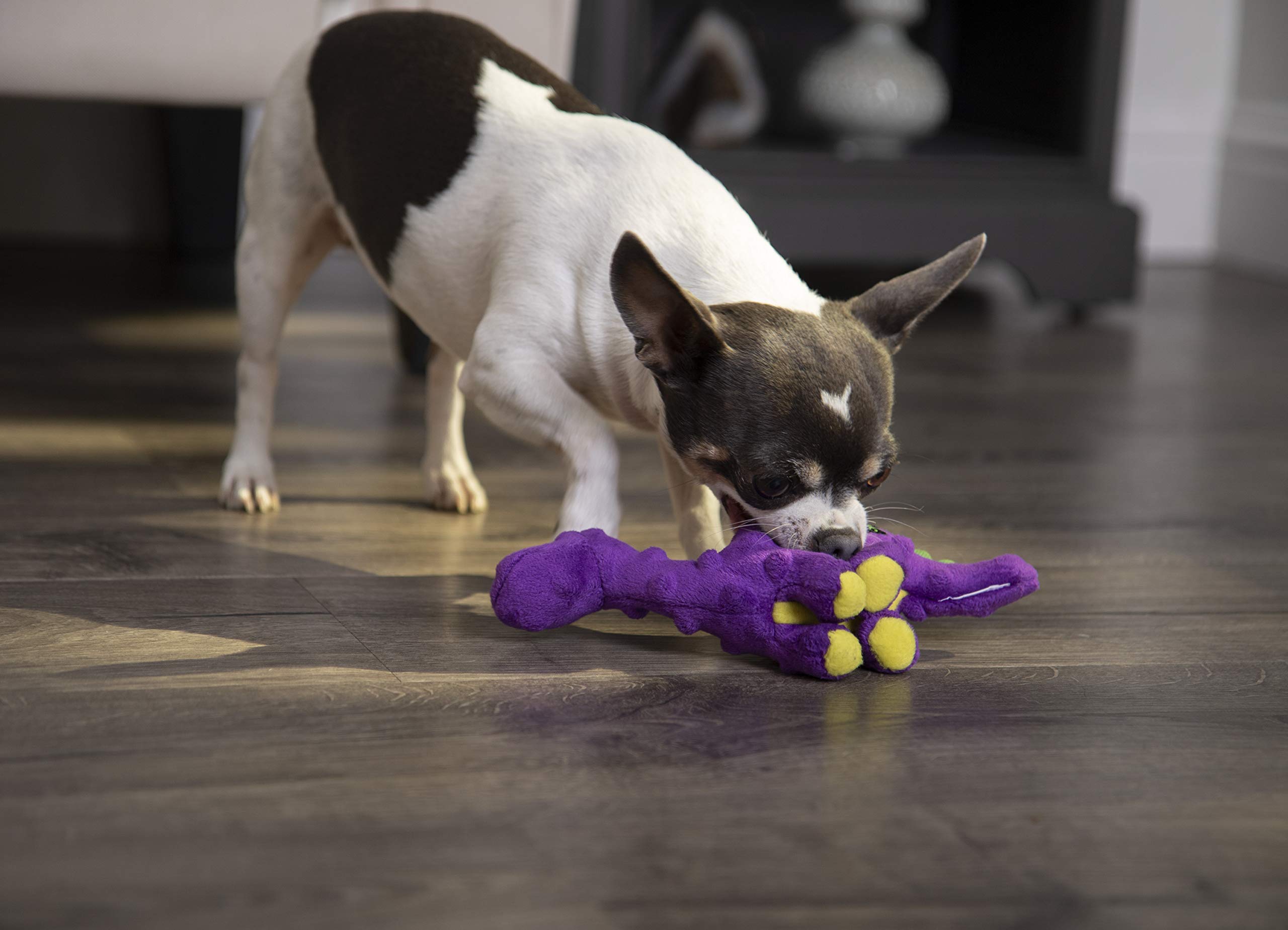 GoDog Bruto mini toy with reinforced seams for durable fetch and tug games.