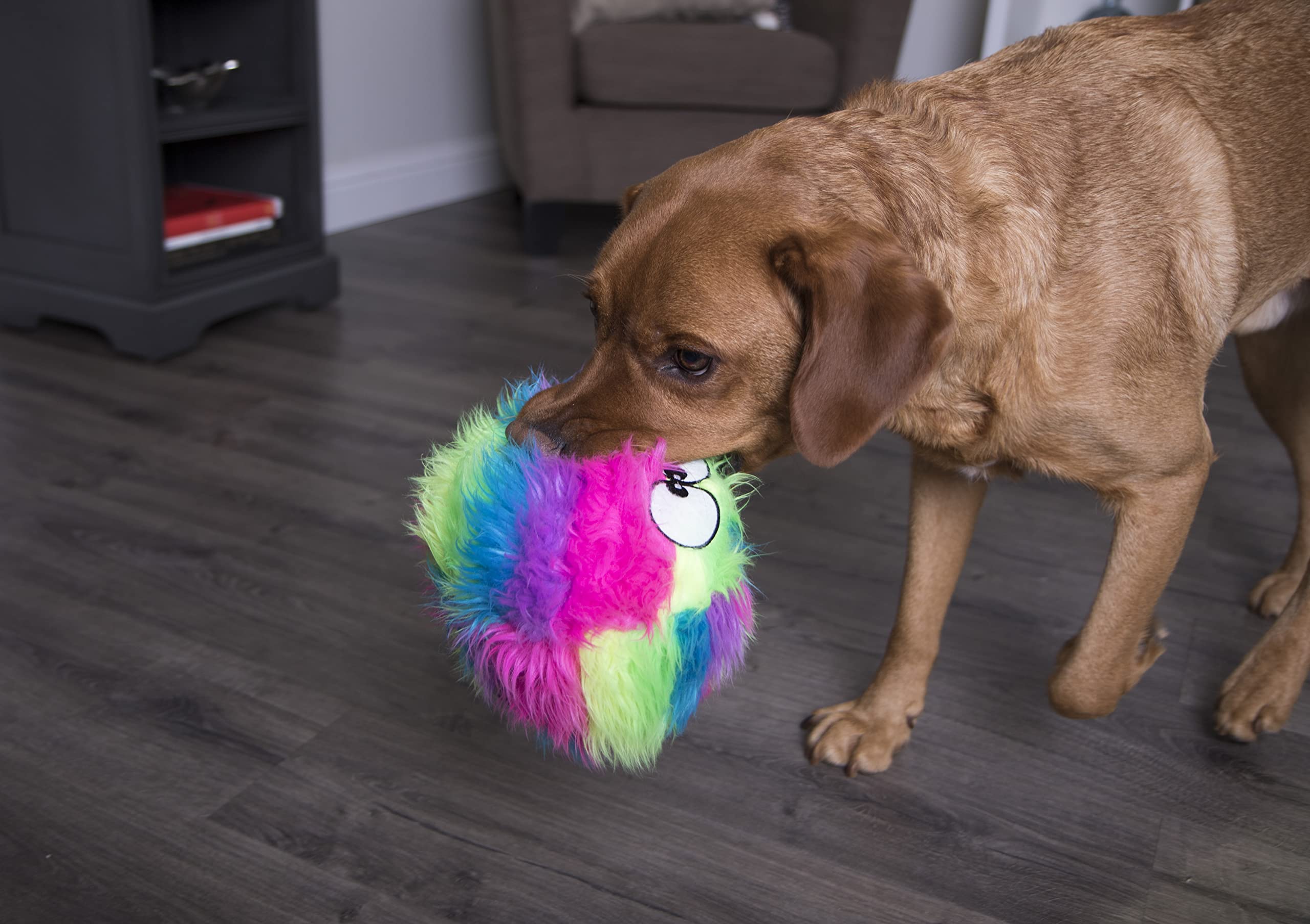 goDog Furballz detalle de ojos divertidos que estimulan el juego.