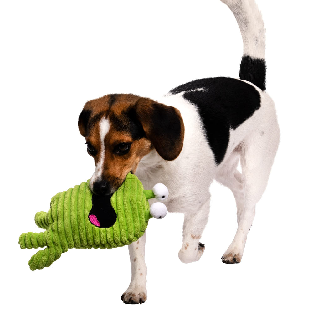 goDog PlayClean beads with geranium inside for odor control