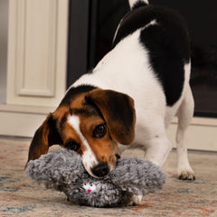 goDog PlayClean sachet of zeolite beads with geranium oils helps reduce odor over time.