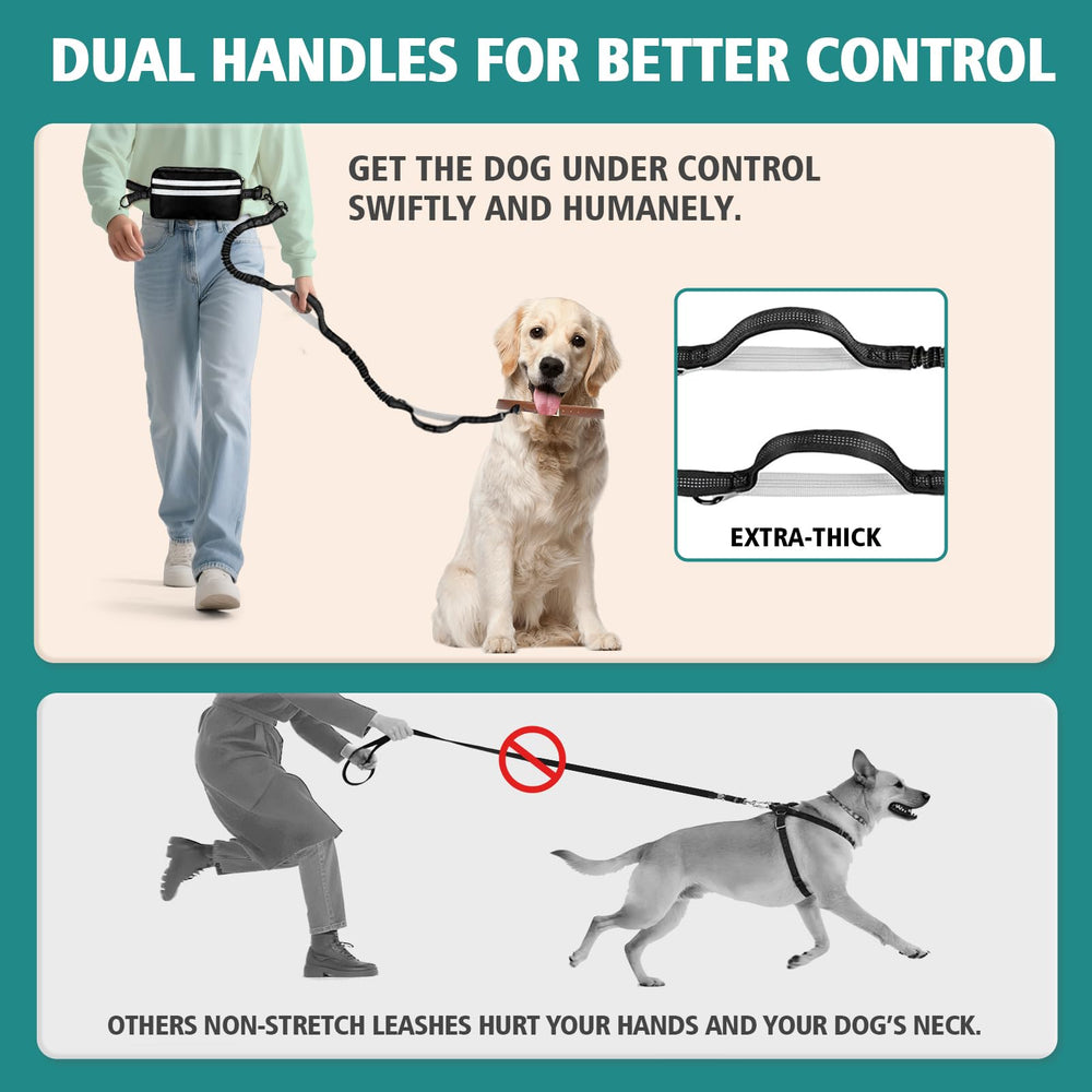 Godyoy bungee-absorb system softens pulls and lunges