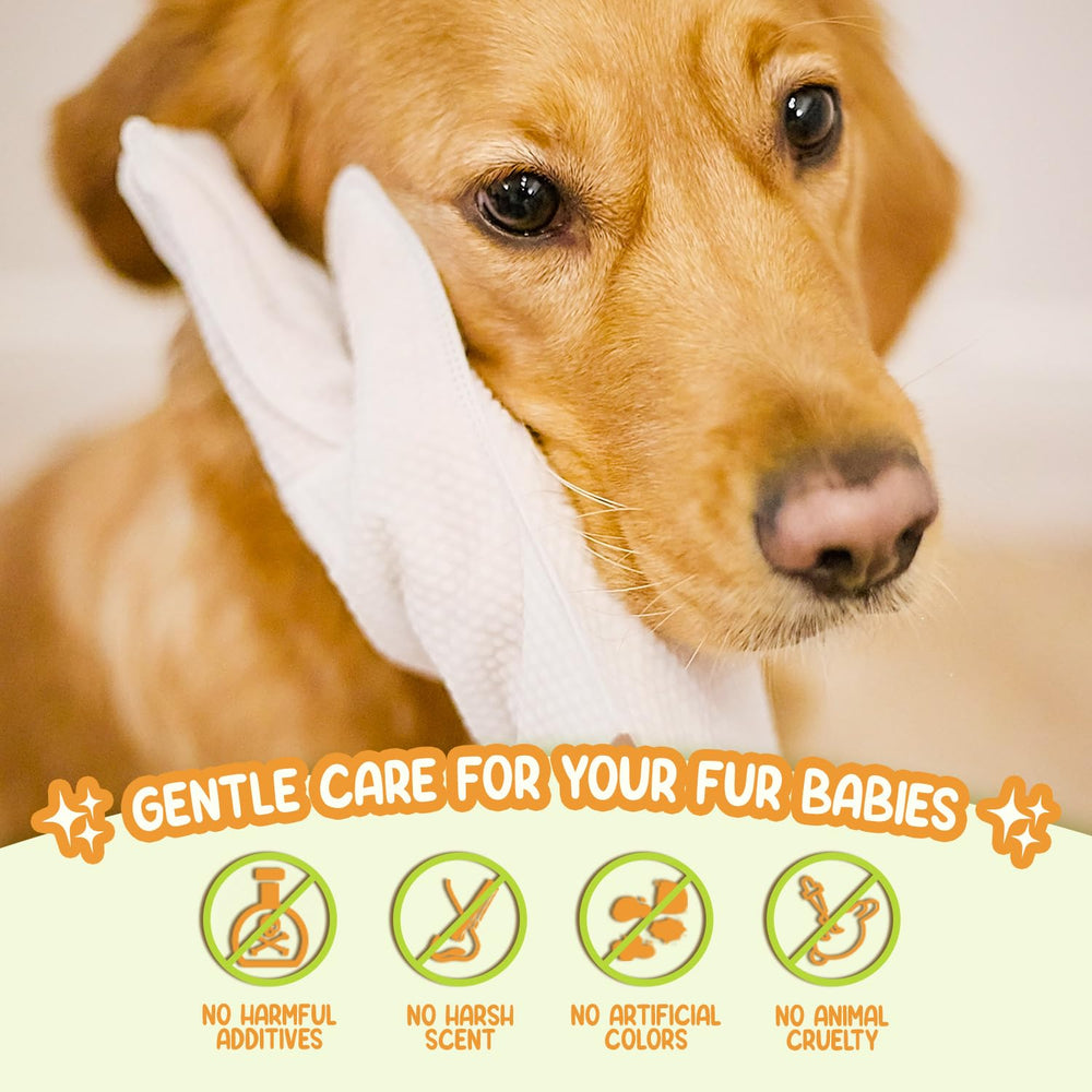 GoEcoVita Pet Glove Wipes In Use demonstrates quick, rinse-free cleaning for dogs and cats.