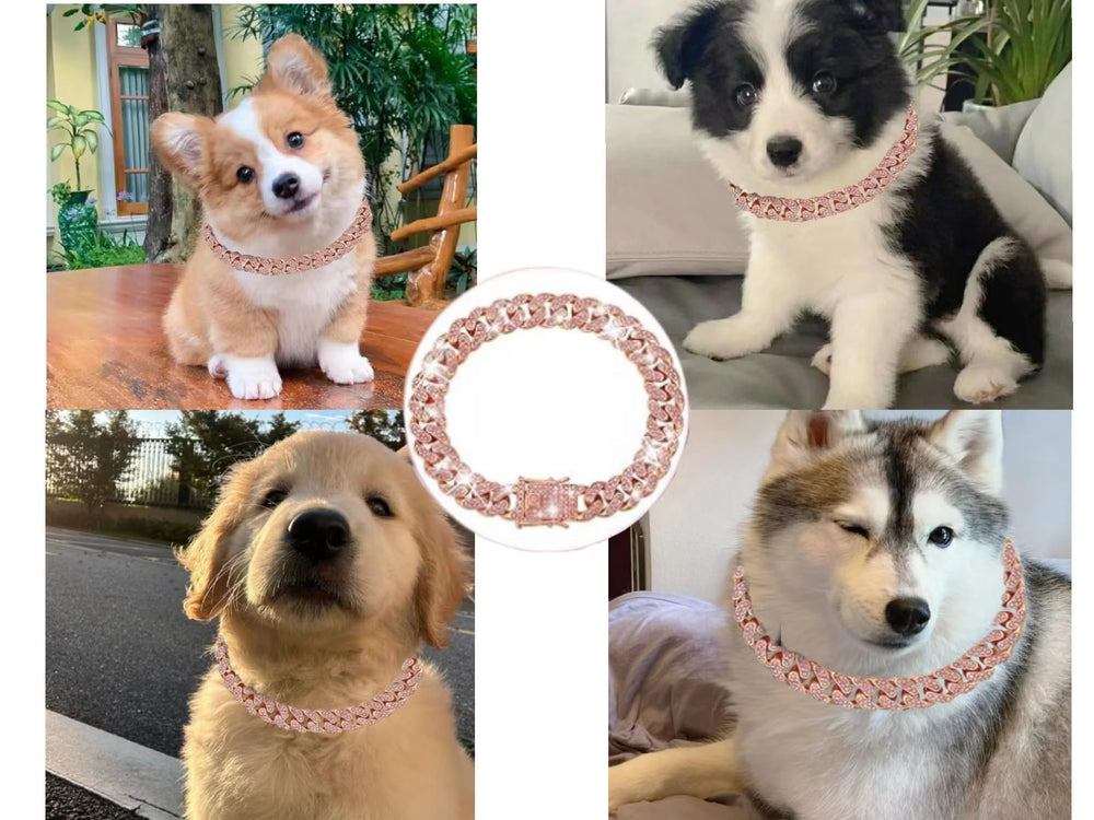 Goetltsch Cuban Link dog collar side view highlights lightweight comfort.