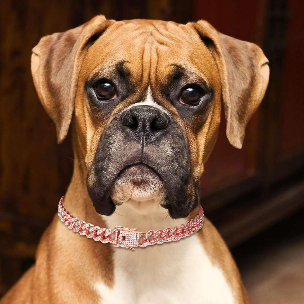 Goetltsch rose gold Cuban link worn during a walking scene for daily adventures.