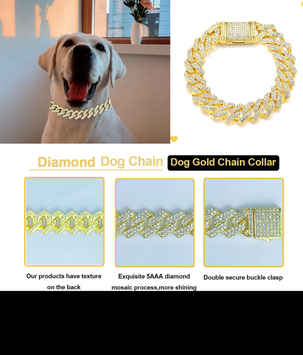 Goetltsch Glod dog collar trendwear for training, walking, and light outdoor adventures.