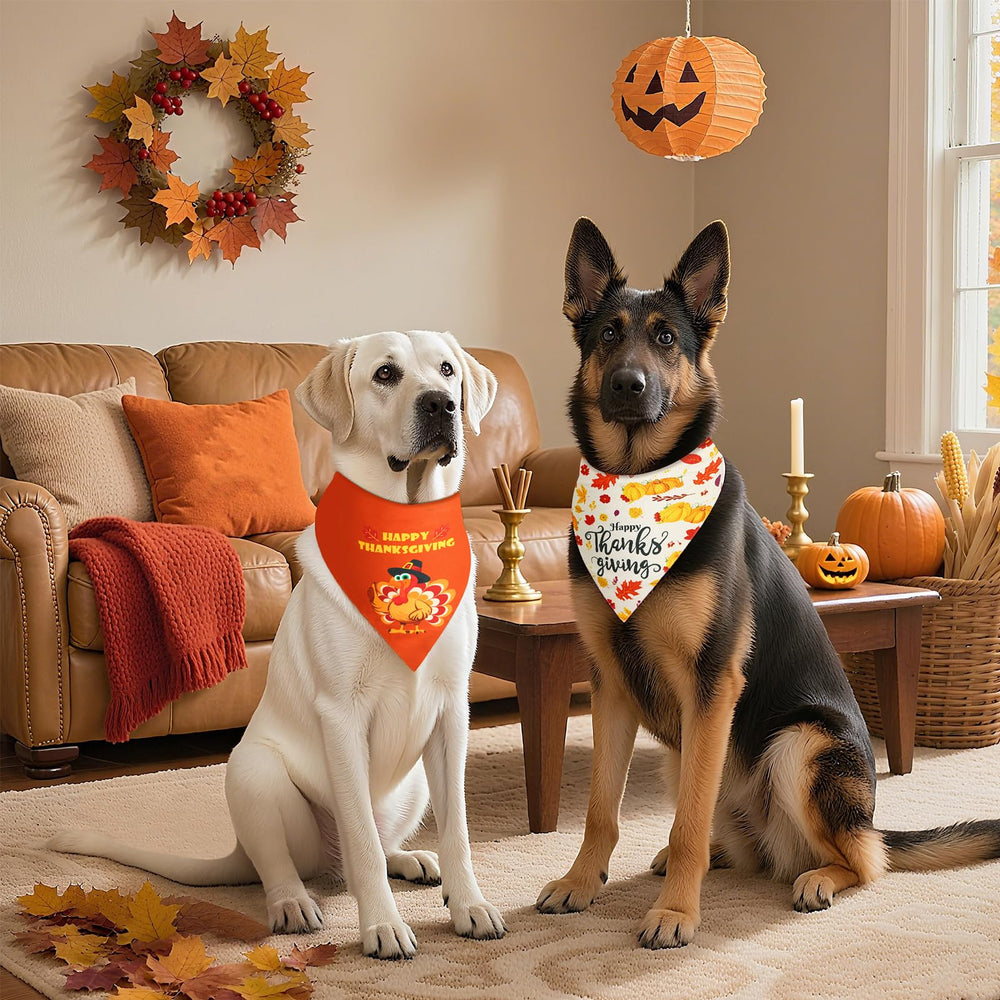 Gofshy bandana easy care machine washable between outings.