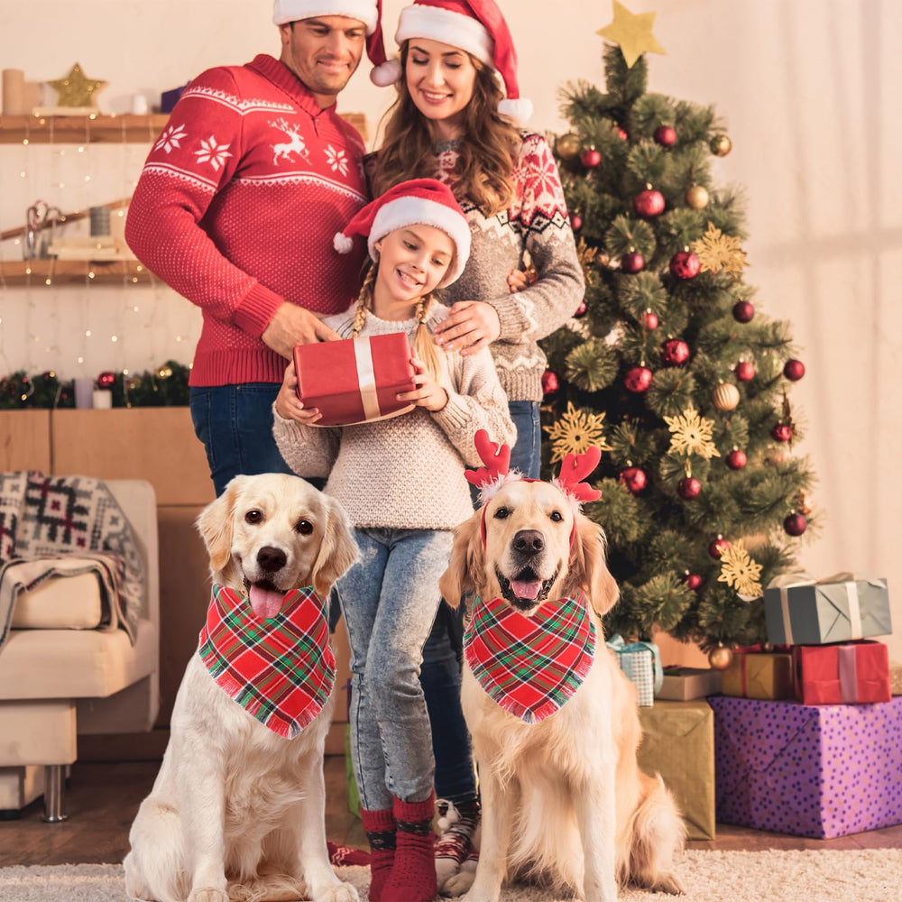 Gofshy Christmas bandana as a cheerful photo prop