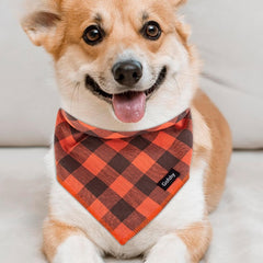 Gofshy dog bandana easy-care wash-and-dry for busy owners