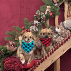 Gofshy red-black plaid bandana is ideal for holiday photoshoots.