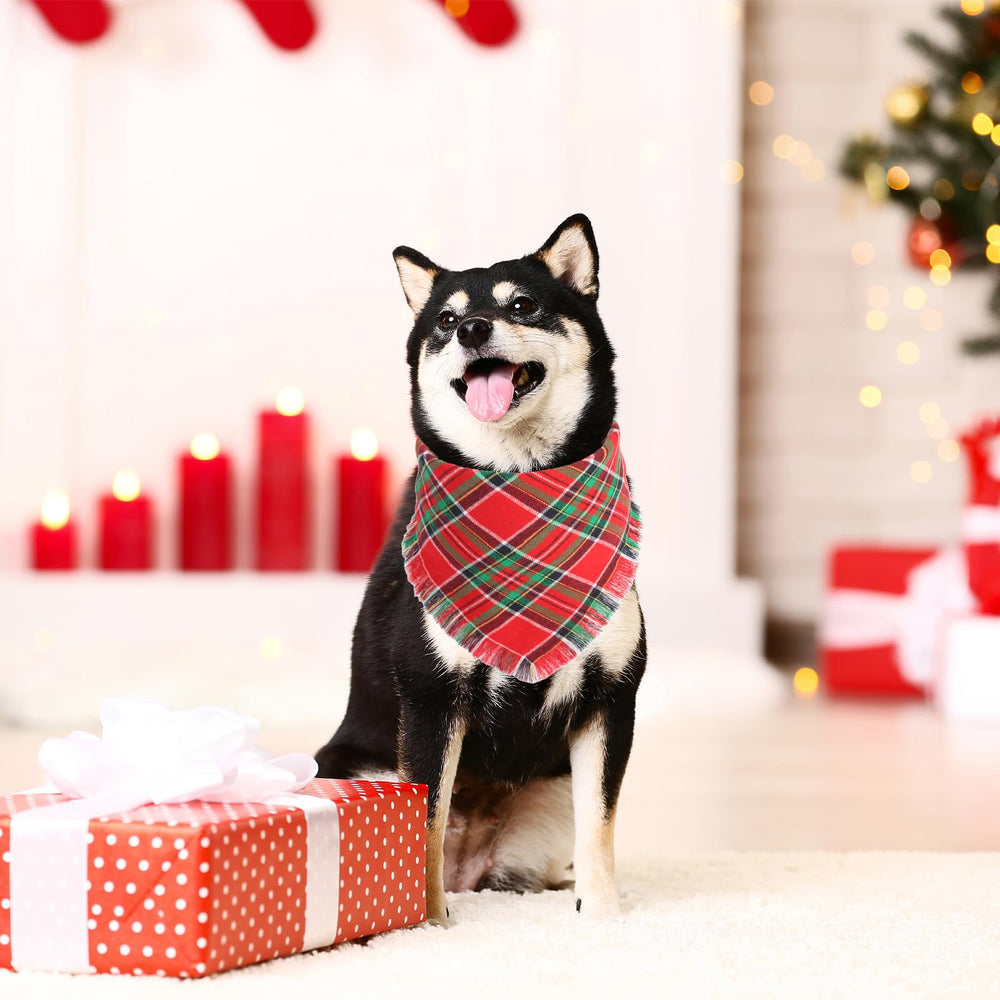 Gofshy durable poly-cotton bandana stands up to playful pets
