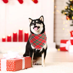 Gofshy durable poly-cotton bandana stands up to playful pets