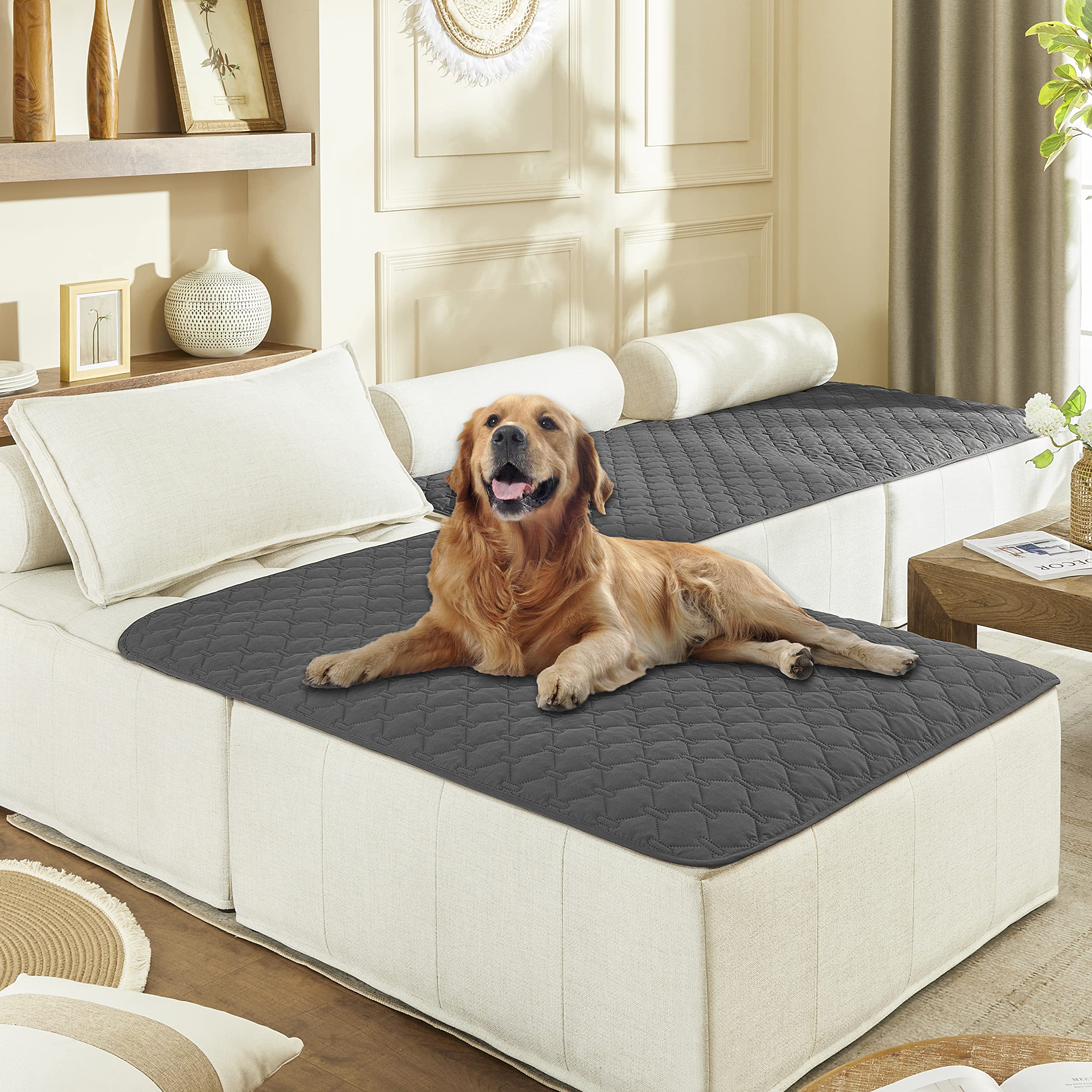gogobunny dog bed cover dark grey folded for easy sofa protection