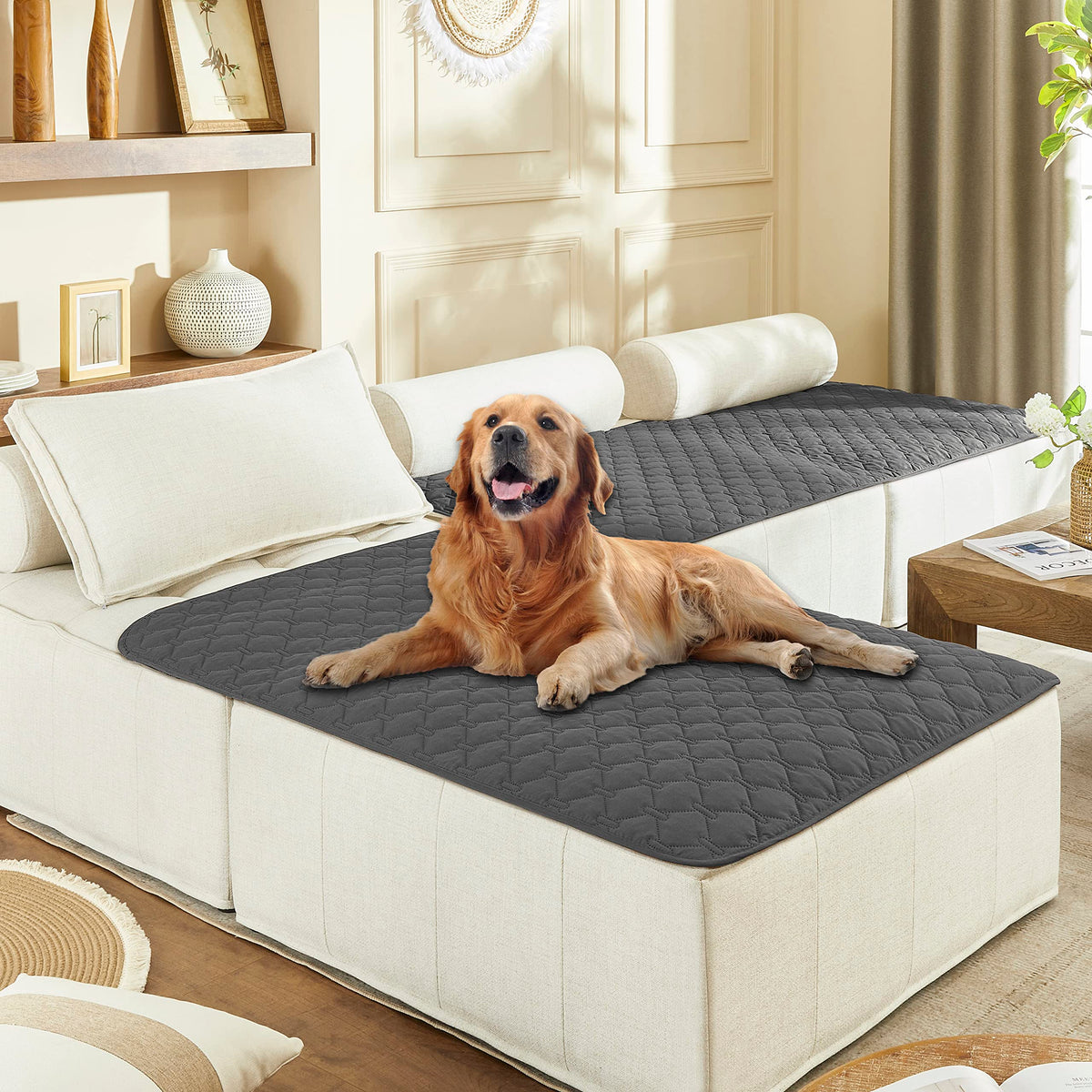 gogobunny dog bed cover dark grey folded for easy sofa protection