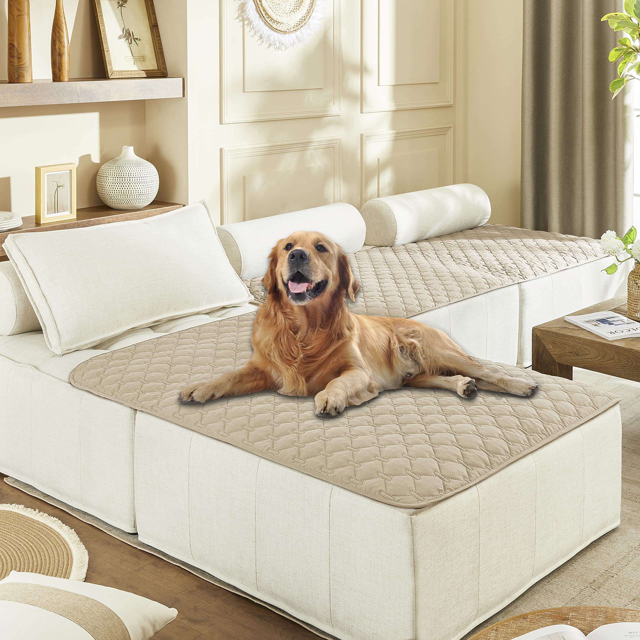 Gogobunny dog bed cover double-sided waterproof protection for 40x50 surfaces, ideal on couches.