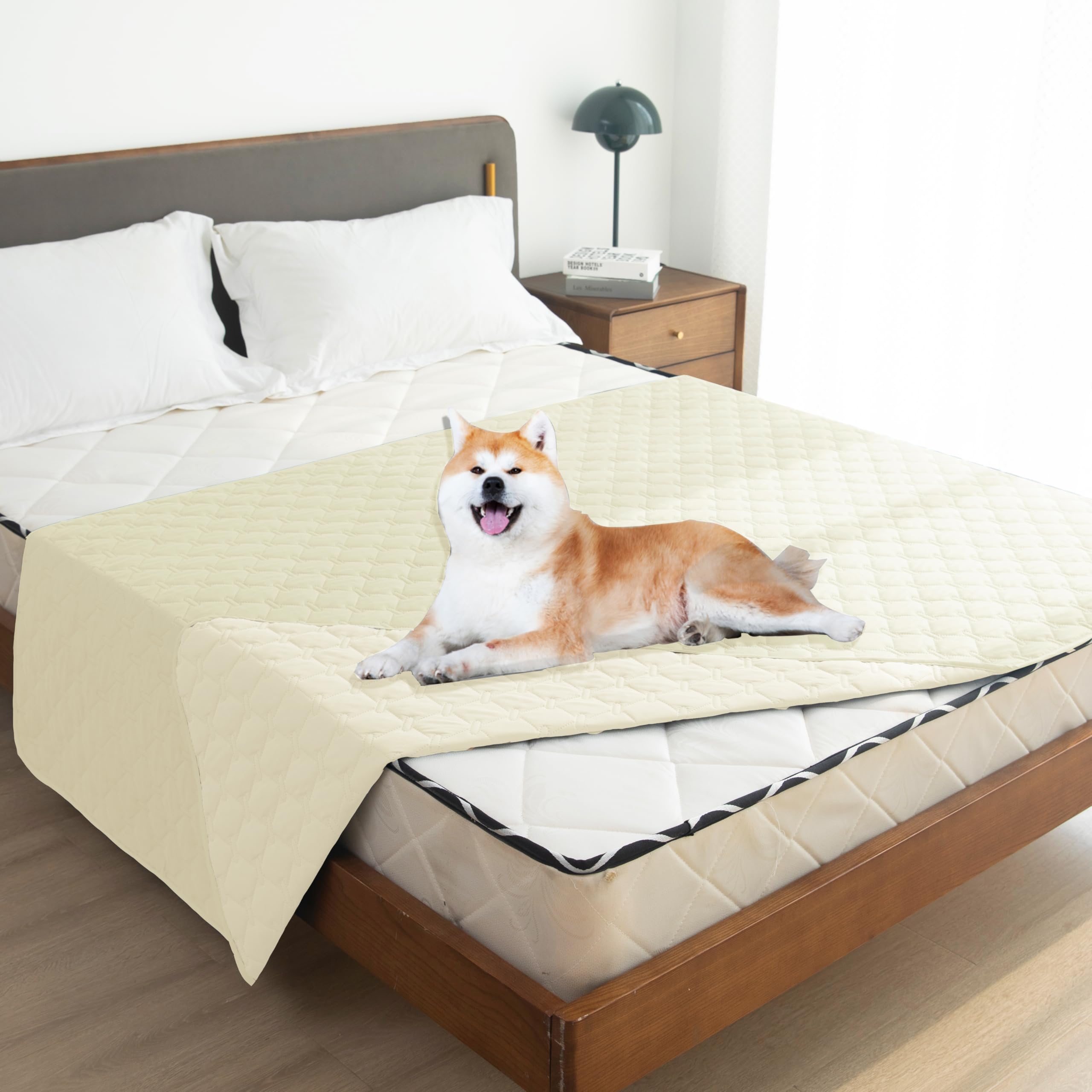 Gogobunny dog bed cover offers double-sided protection for living spaces.