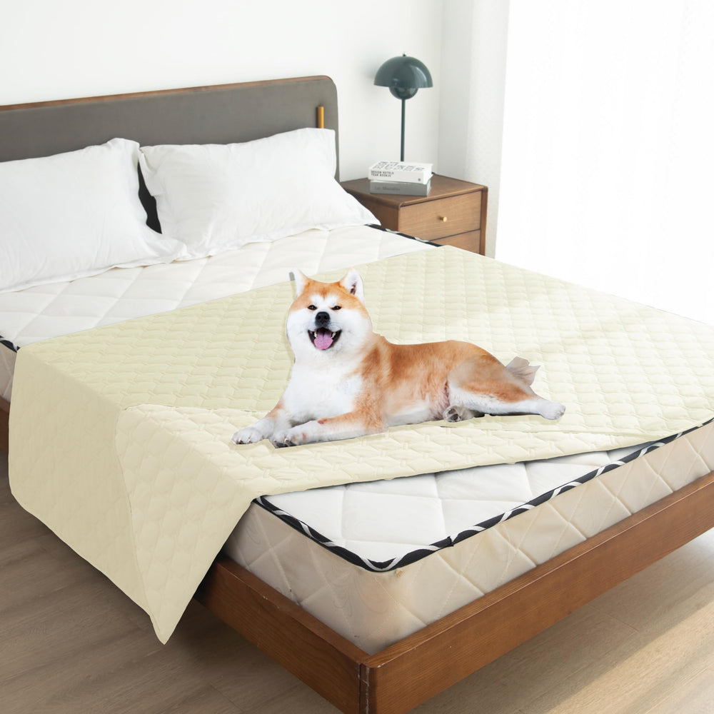 Gogobunny dog bed cover offers double-sided protection for living spaces.