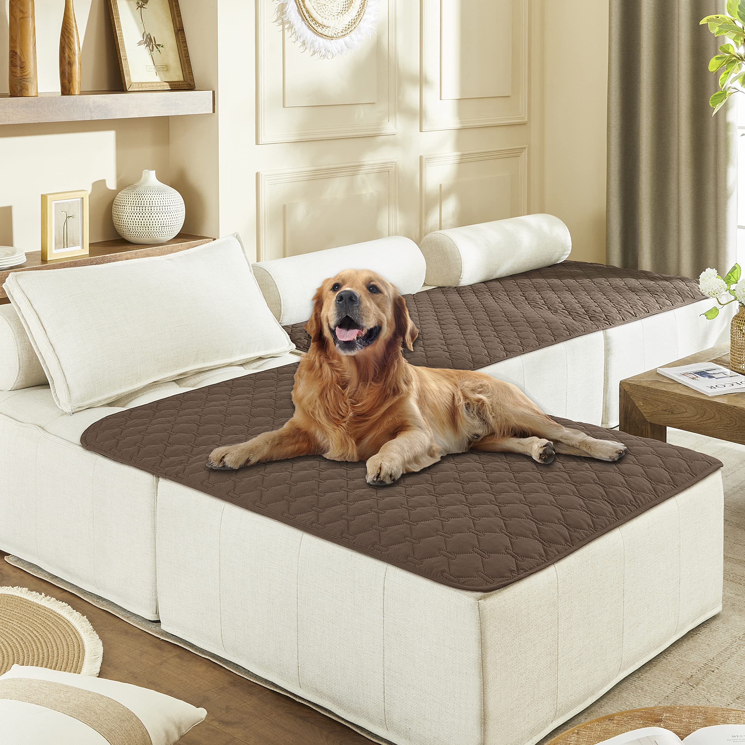Gogobunny dog bed cover waterproof double layer protects furniture from accidents